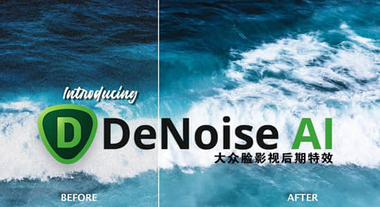 黄玉AI智能图片降噪软件 Topaz DeNoise AI 3.7.1 Win破解版下载 持续更新
