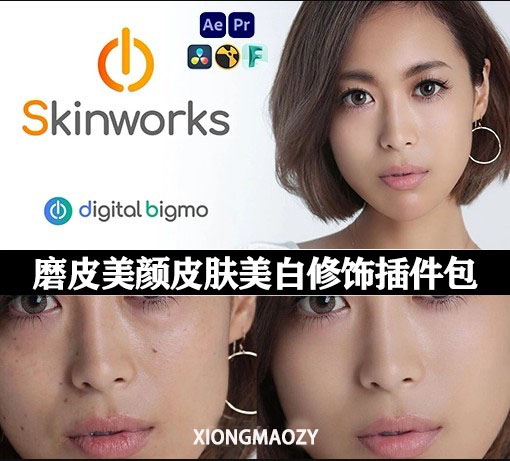 AE/PR/Nuke/OFX达芬奇磨皮美颜皮肤美白修饰插件包 Digitalbigmo Skinworks 2024.11.00 Win CE