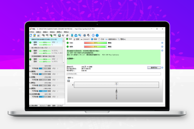 硬盘哨兵Hard Disk Sentinel v6.30