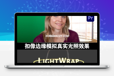 AE/PR插件|扣像边缘模拟真实光照效果 Digital Anarchy – Light Wrap Fantastic V1.2.12 Win/Mac