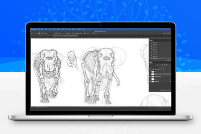 PS动物解剖分解绘画系统教程 CGMA – Animal Drawing with Shannon Beaumont