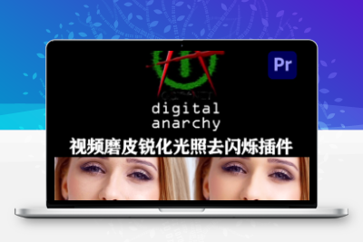 AE/PR插件|人像磨皮美颜锐化光照视频去闪烁插件 Digital Anarchy Bundle 2025.1 CE Win破解版（含Beauty Box/Flicker Free/Samurai Sharpen）