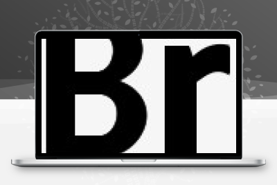 Br合集【点击下载】win+Mac