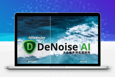 黄玉AI智能图片降噪软件 Topaz DeNoise AI 3.7.1 Win破解版下载 持续更新